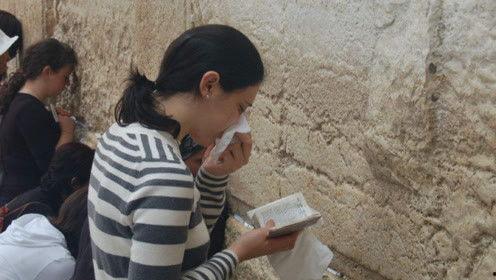 娱乐吃瓜君创造营